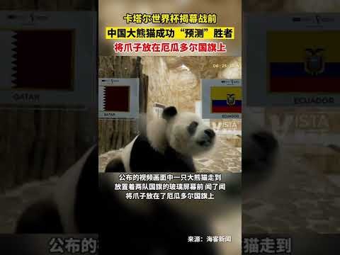 英超金靴悬,念难解,萨拉赫独造,ued,UED,UED体育入口,UED官网,UED体育APP下载